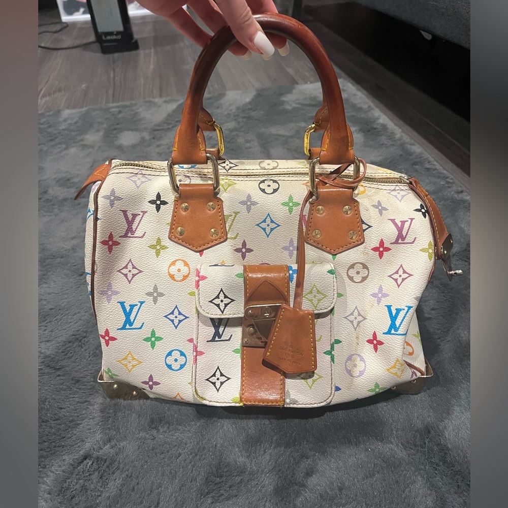 Louis Vuitton purse (authentic)
